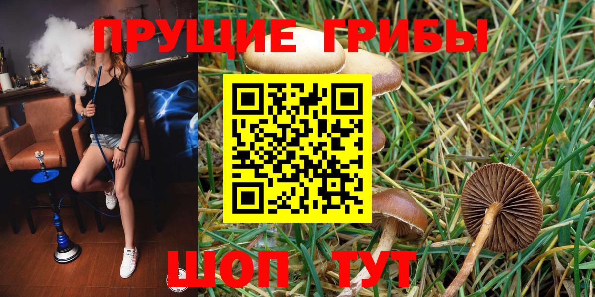 Псилоцибиновые грибы мухоморы  Вход с VPN  Волжск  Галлюциногенные грибы прущие грибы 