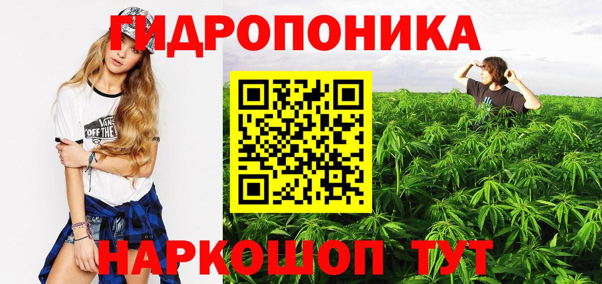 Волжск  Конопля конопля  Вход с VPN  Конопля THC 21% 